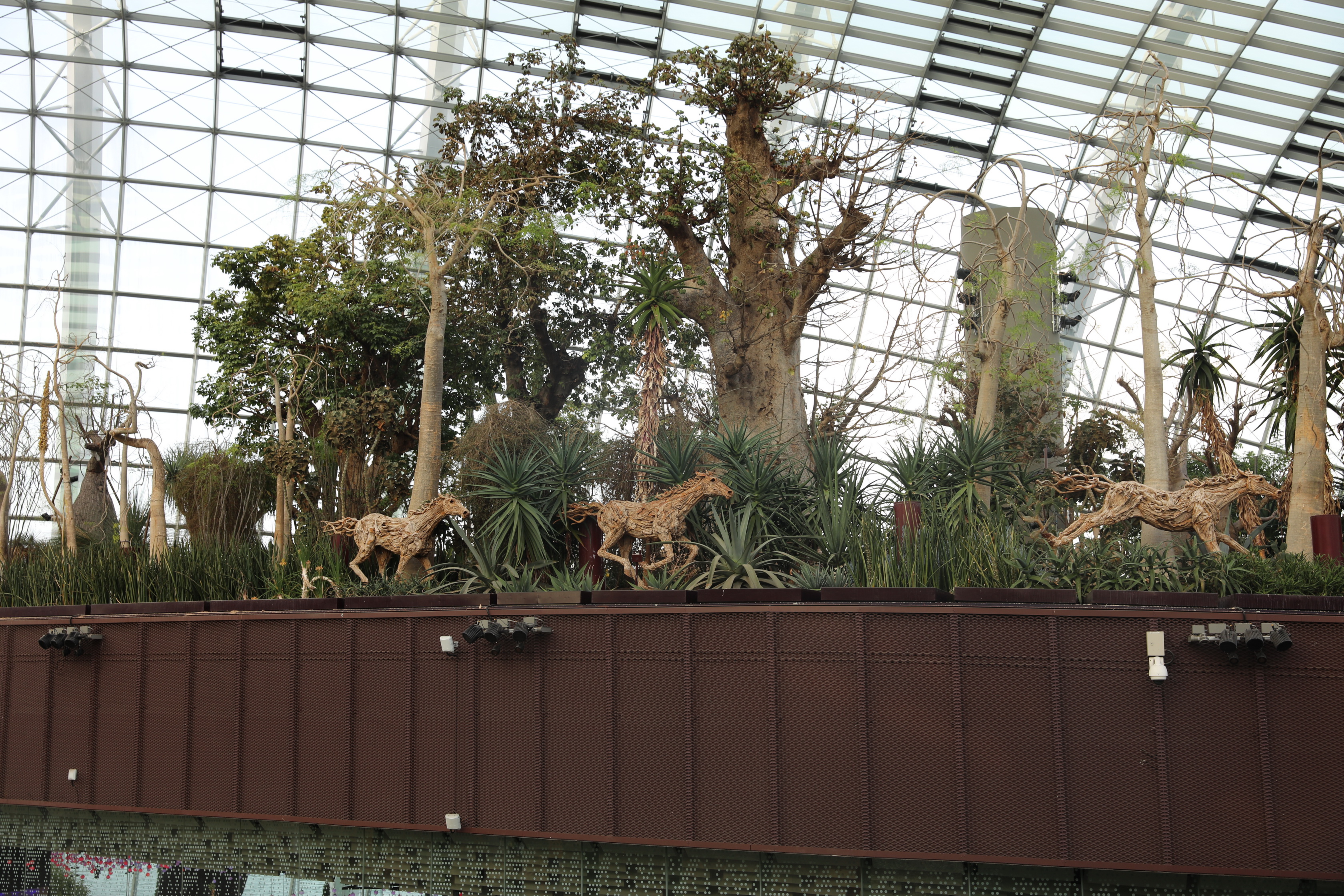 2020 02 03 18 27 33 Canon EOS 5D Mark IV 0055